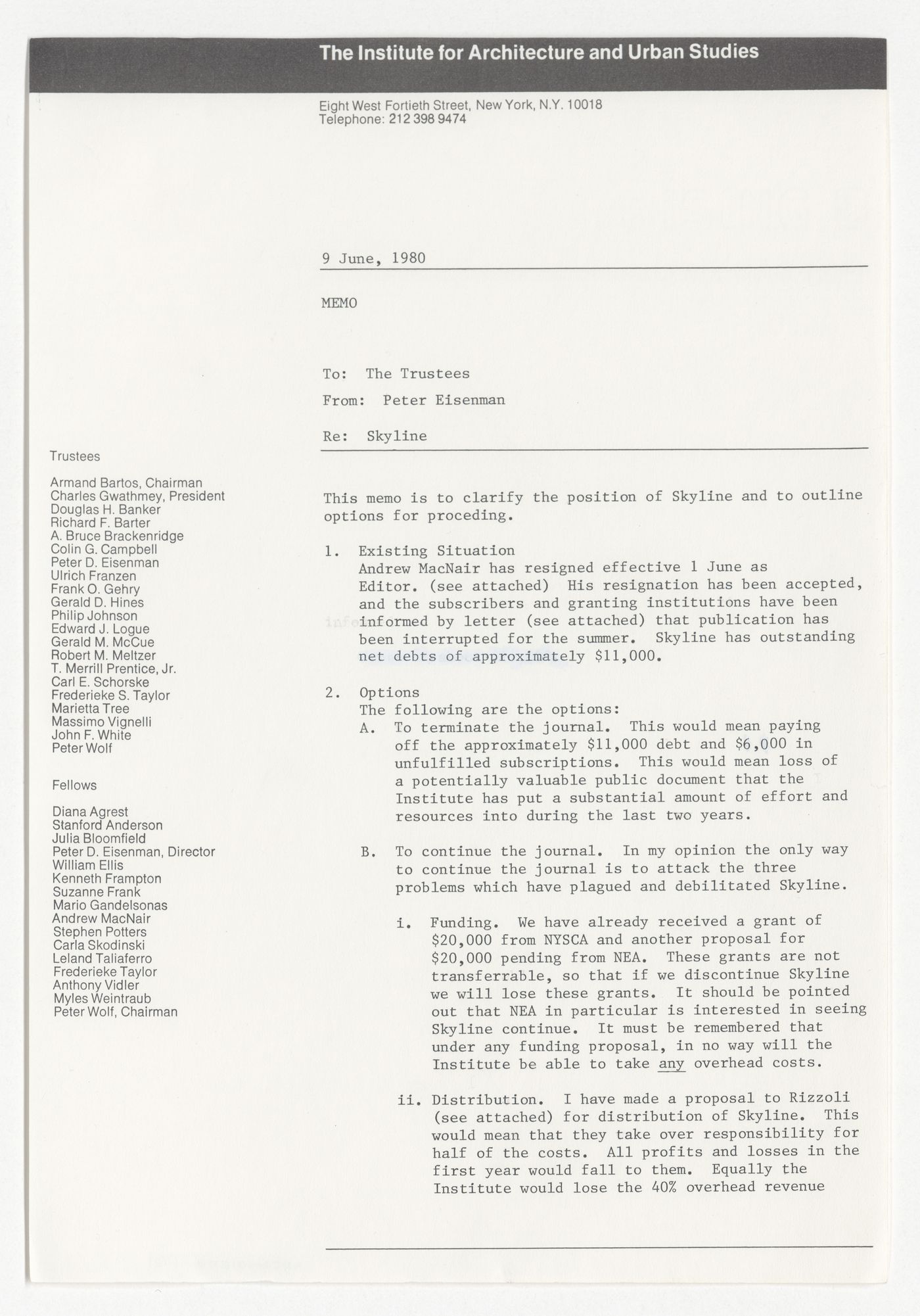 Memorandum from Peter D. Eisenman to the Trustees about the current status and possible future plans for Skyline