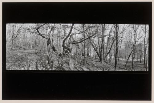 Mount Royal, Montréal, Québec