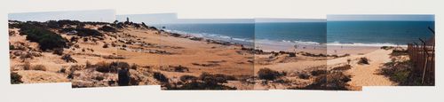 Photomontage, Parque Dunar, Doñana National Park, Spain