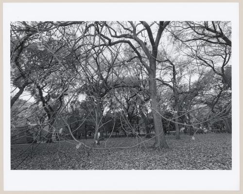 Off the Mall, Central Park, Manhattan, New York City, New York