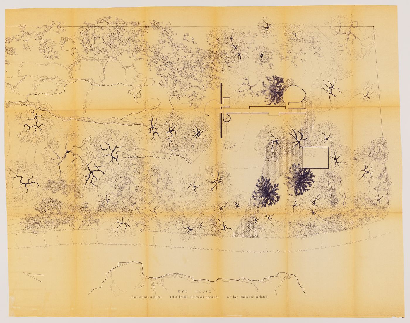 Bye House: site plan