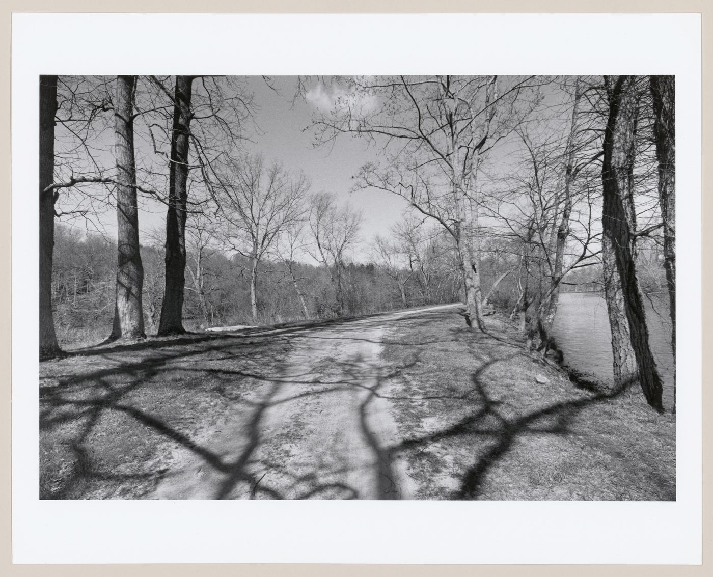 View near lagoon, The Vanderbilt Estate, "Biltmore", Asheville, North Carolina