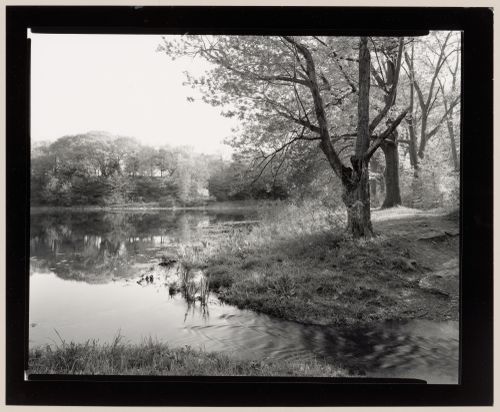 Wards Pond, the Muddy River Improvement, Boston, Massachusetts