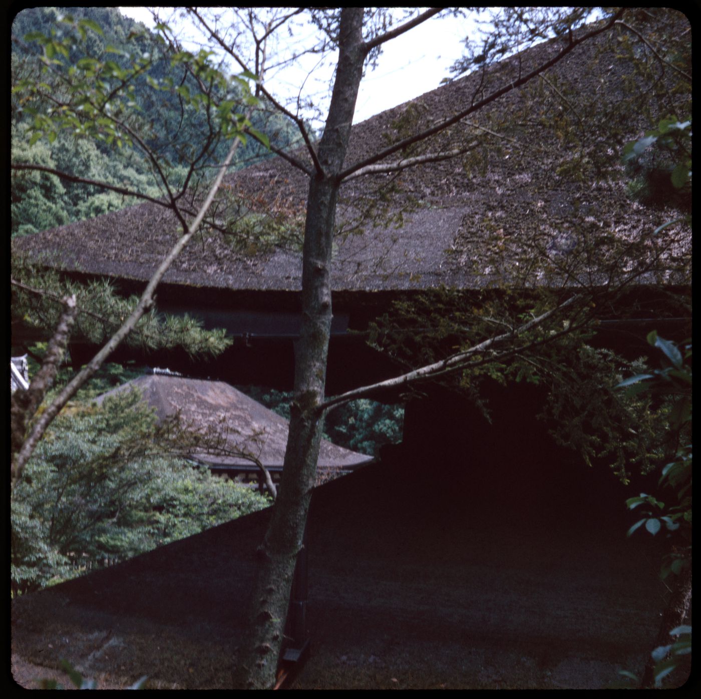 Kiyomizu-dera, Kyoto, Japan