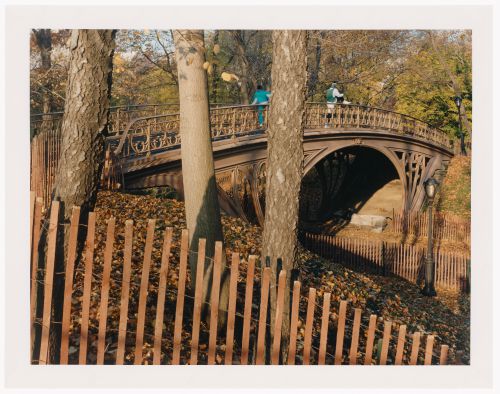 Viewing Olmsted: View of Gothic Bridge, Central Park, Manhattan, New York City, New York