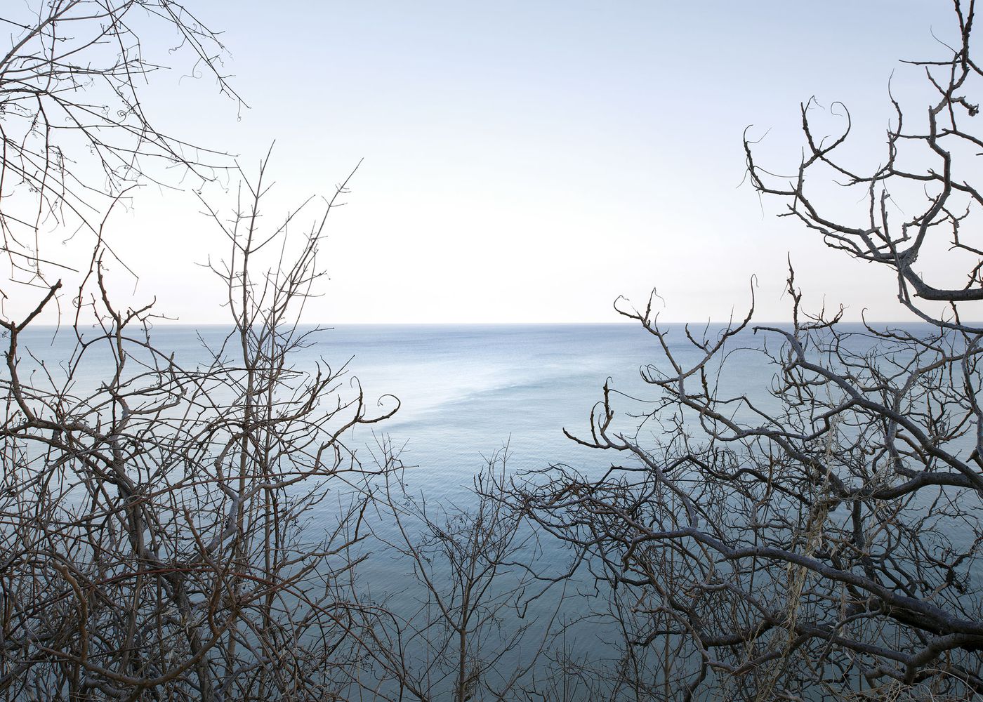 An Enduring Wilderness: View of Lake Ontario from Cudia Park , Toronto