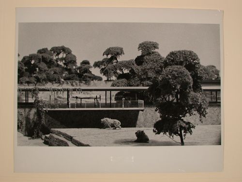 Photograph of a model for an Observation Terrace for the Montréal Zoo, Montréal, Québec