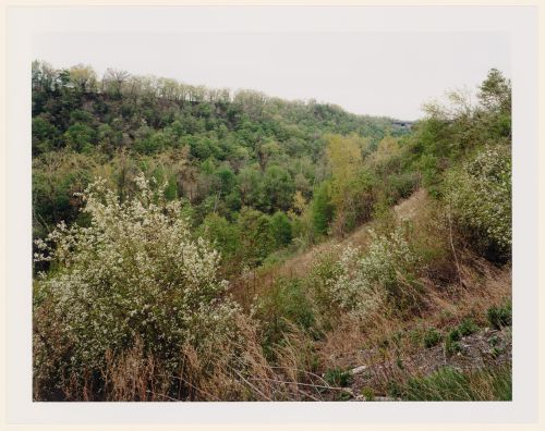 Viewing Olmsted: View along Genesee River, Seneca Park, Rochester, New York