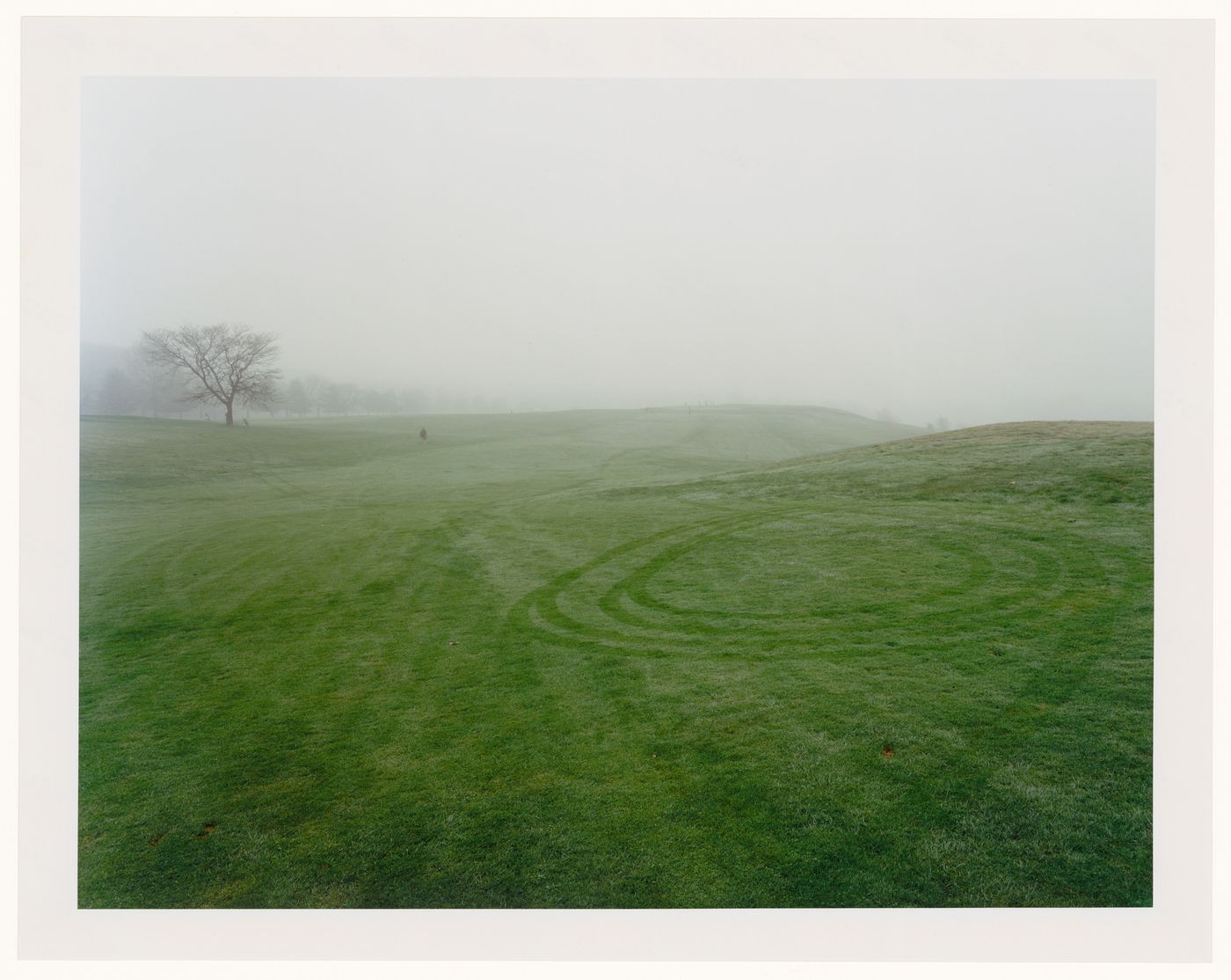 Viewing Olmsted: View of The Country Park, Franklin Park, Boston, Massachusetts