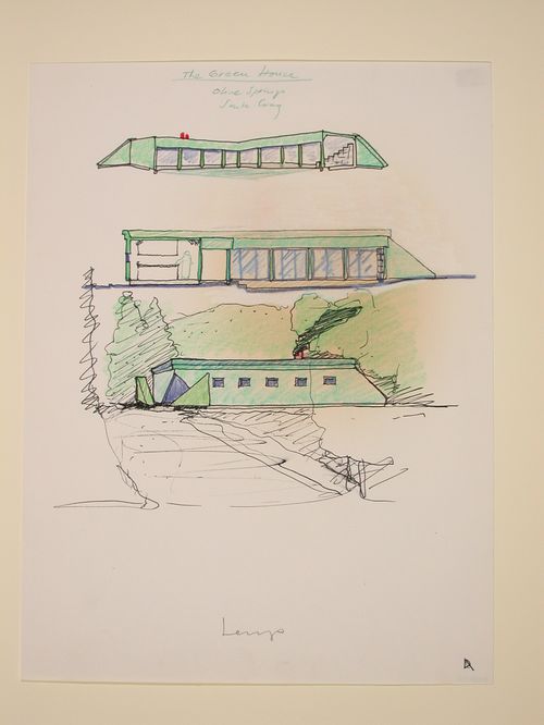 The Nofamily House - perspectives,section/elevation