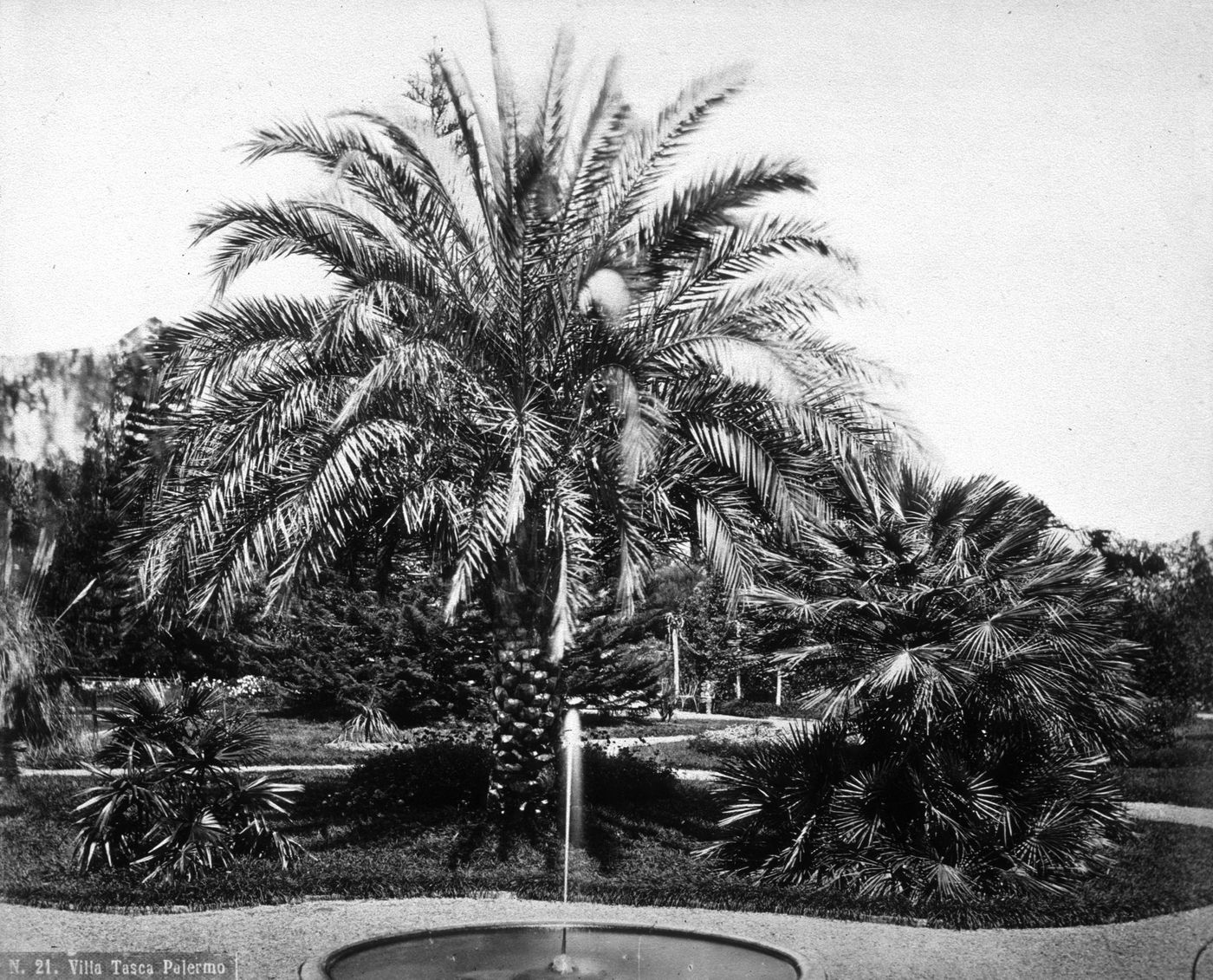 Plate from album ''Views of Italy, Monaco, Algers, Lisbonne, Gibraltar and Montserrat by various photographers''