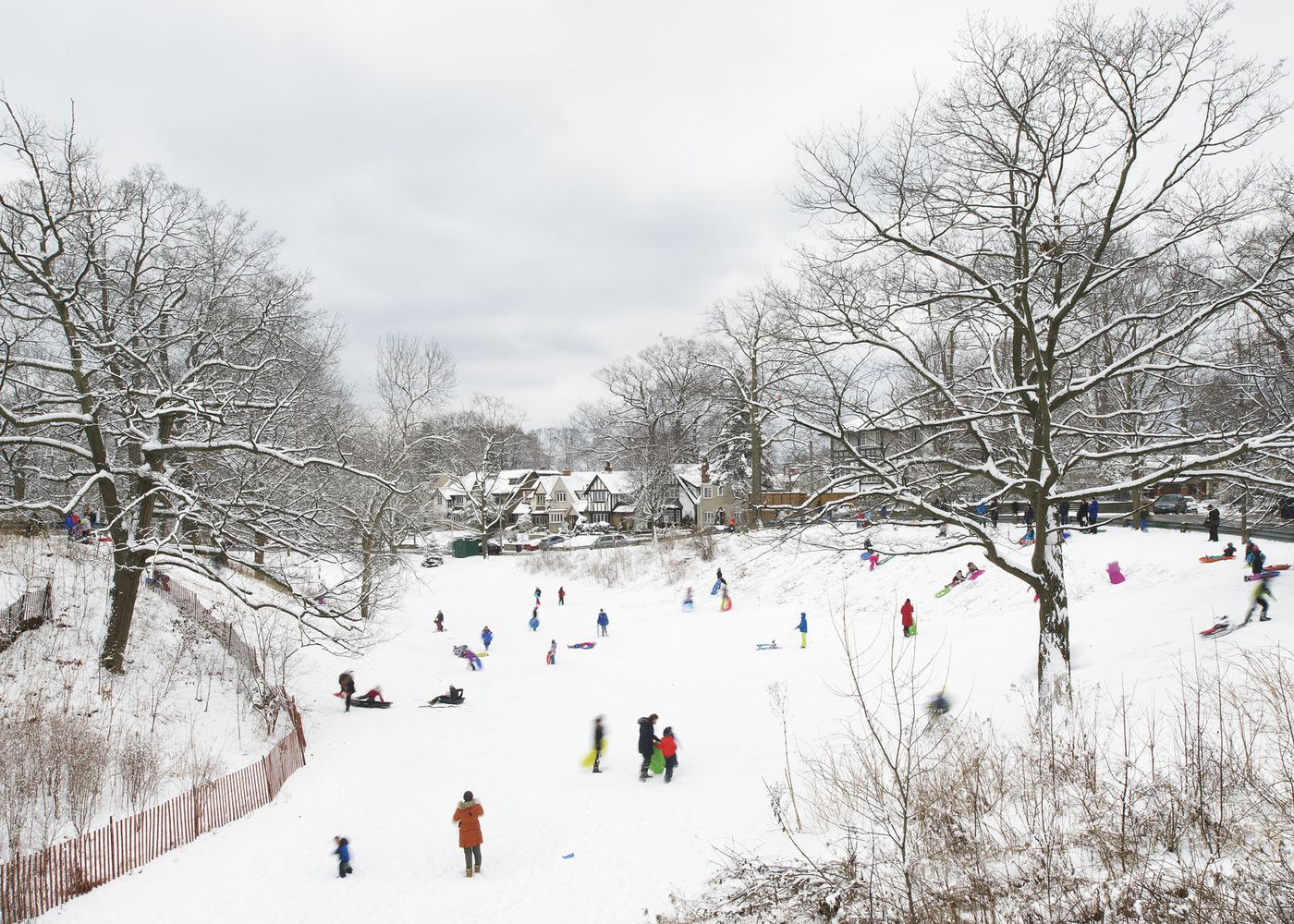 An Enduring Wilderness: Glen Stewart Ravine, Toronto