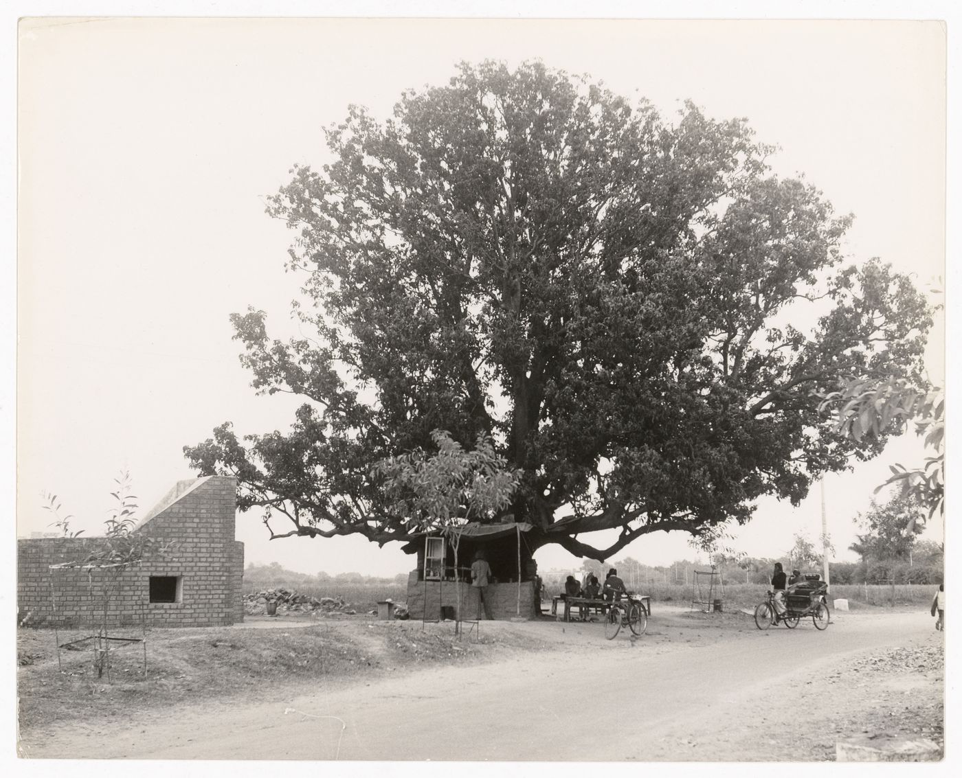 Photograph of village likely near Chandigarh, India