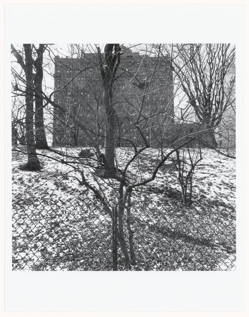 Prospect Park, Brooklyn, New York