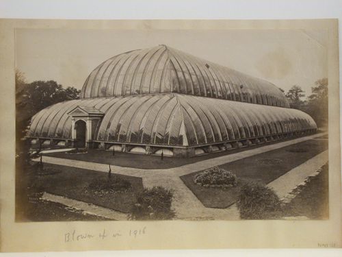 View of the Palm House at Chatsworth, England