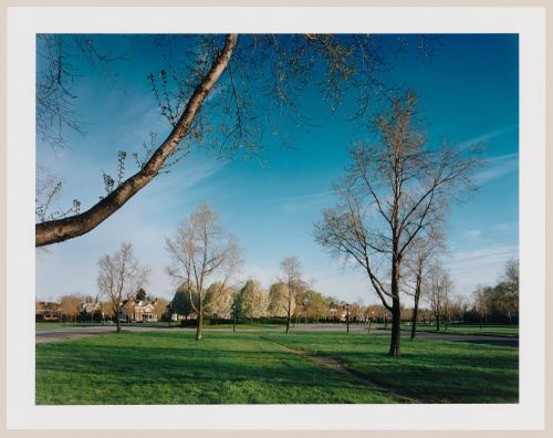 Viewing Olmsted: View of Lincoln Parkway, Buffalo, New York