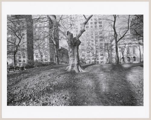 Central Park, Manhattan, New York City, New York