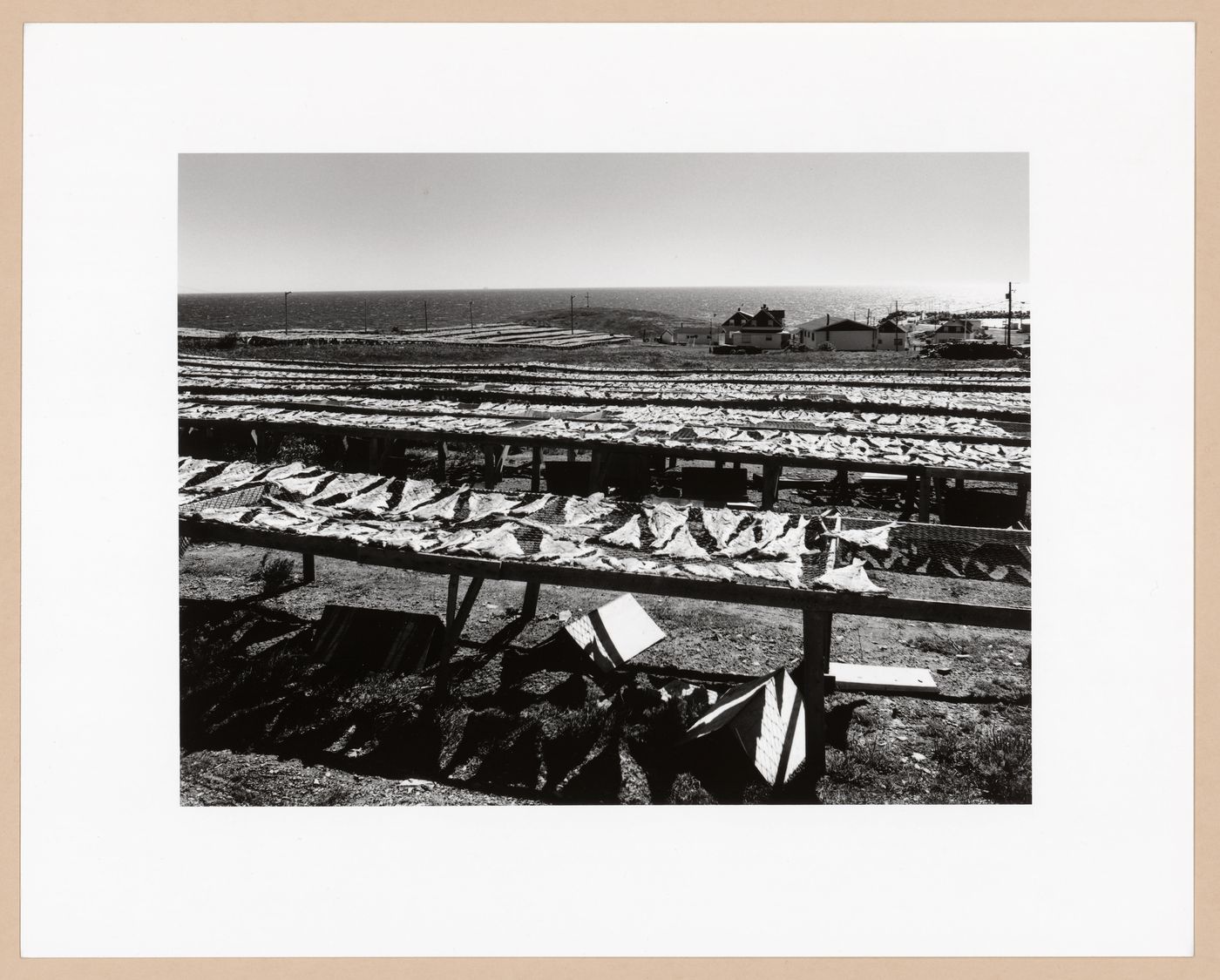 Cod drying racks, Gaspé Poissonerie, Québec, from the series The Forms of Canadian Industrial Architecture
