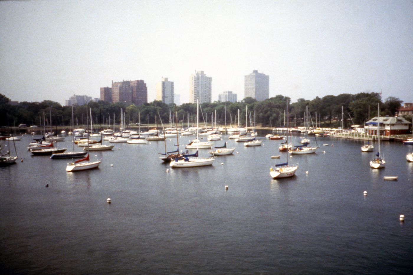 Photograph of a marina for research for Olmsted: L'origine del parco urbano e del parco naturale contemporaneo