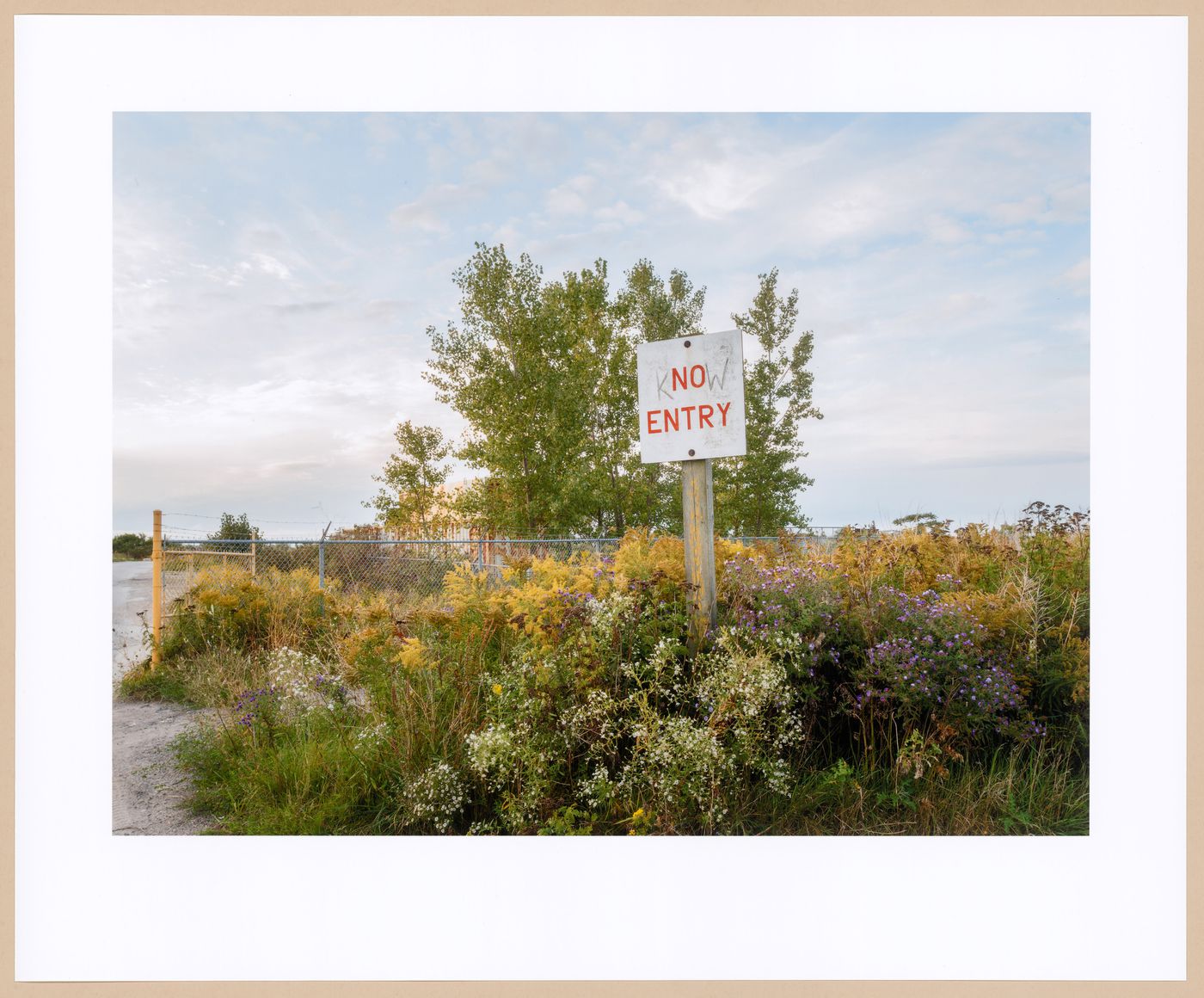 Entrance to Unassumed Road, the Neck, from the series Accidental Wilderness