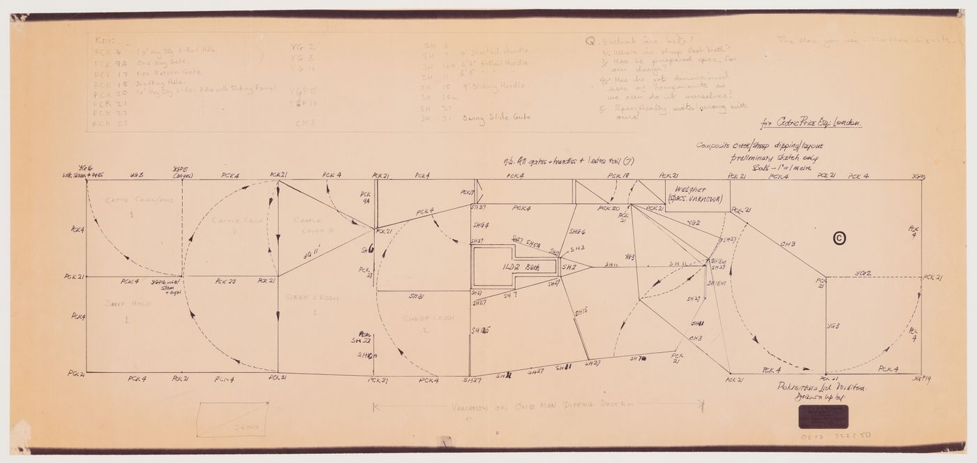 Sketch for composite cattle/sheep dipping layout