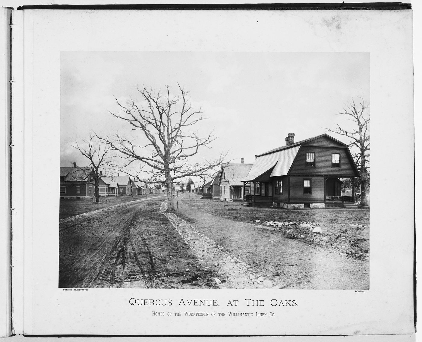 View of the Willimantic Company’s worker’s homes, on Quercus Avenue, town of Willimantic, now Windham, Connecticut, United States