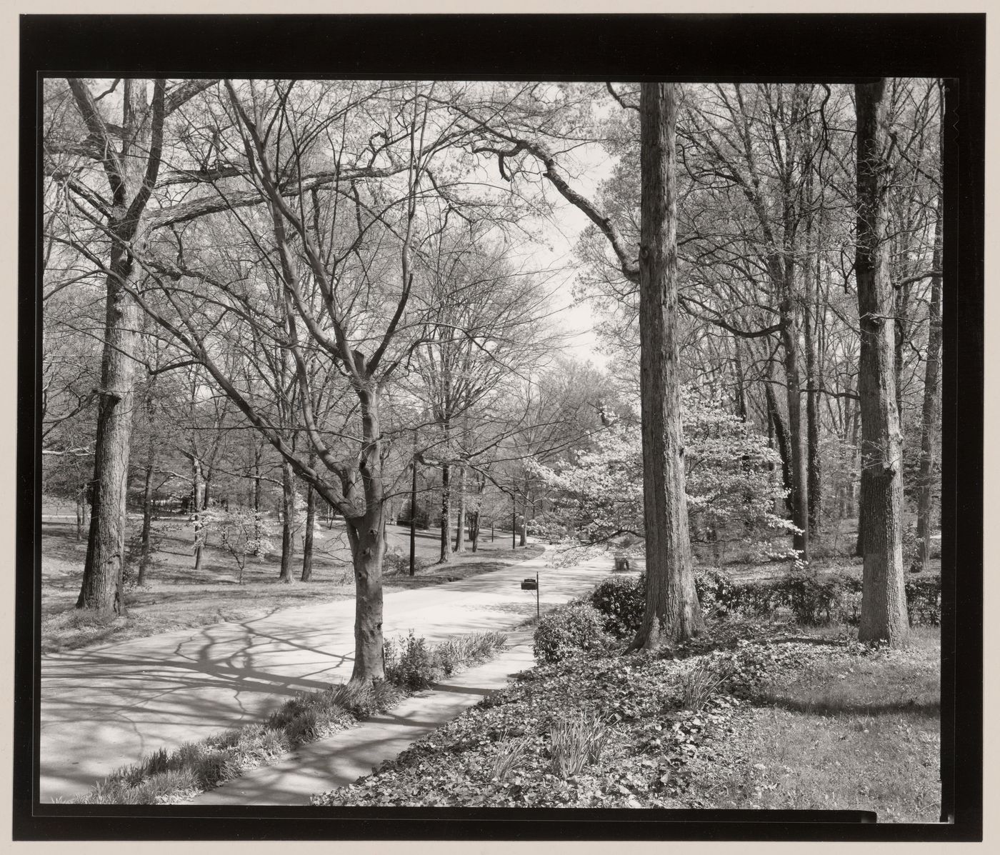 Druid Hills, Atlanta, Georgia, United States