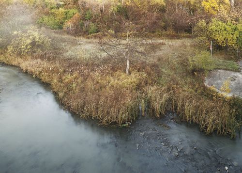 An Enduring Wilderness: West Humber Parkland, Toronto