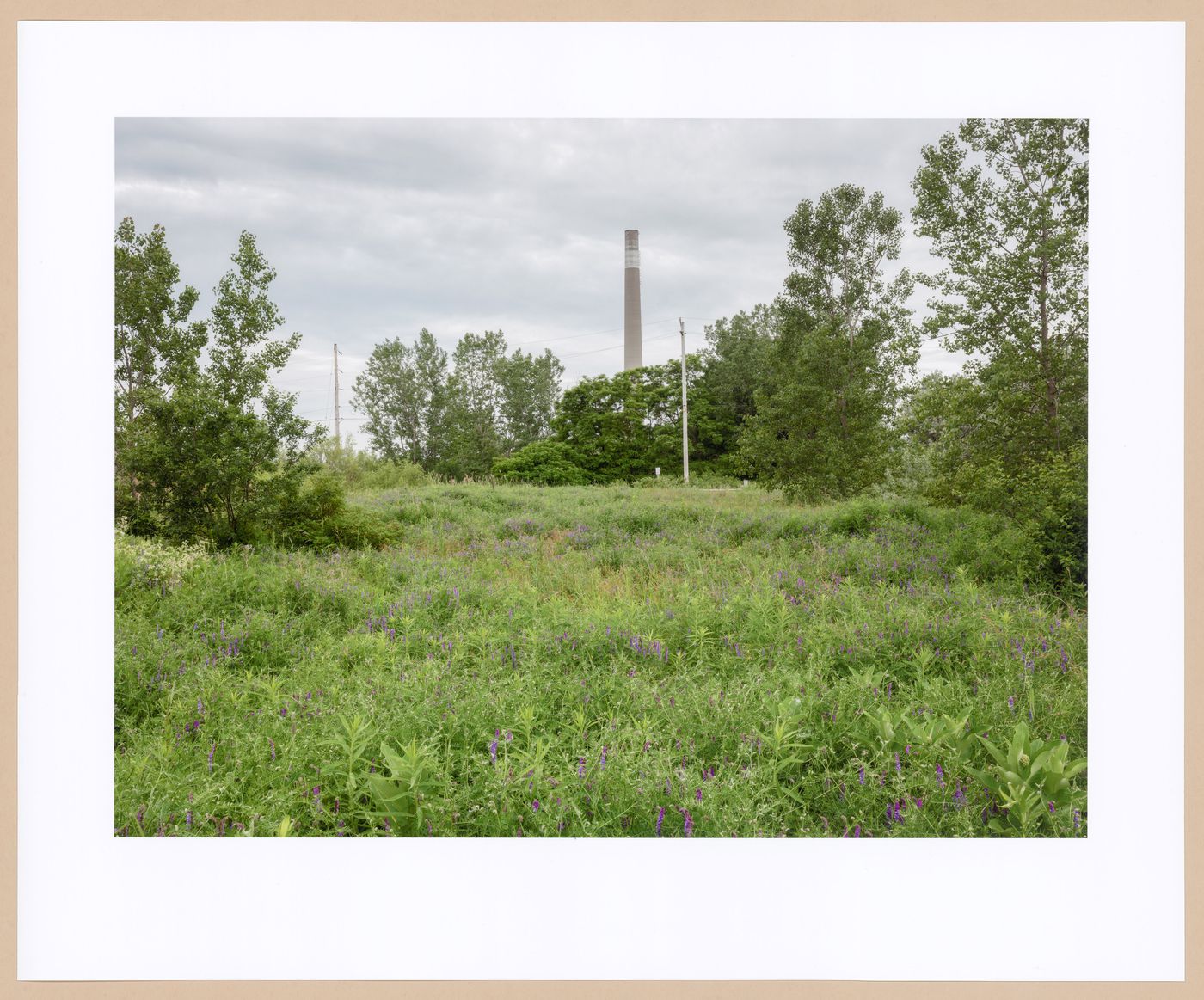 The Hearn Generating Station #2, the Baselands, from the series Accidental Wilderness