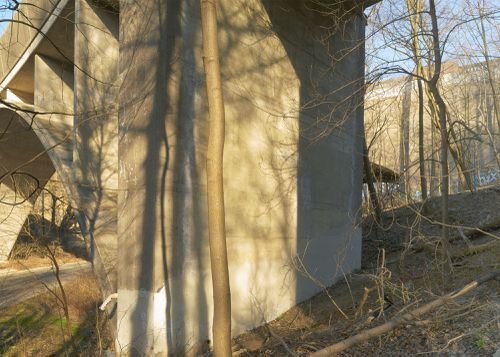 An Enduring Wilderness: Rosedale Ravine Lands, Toronto