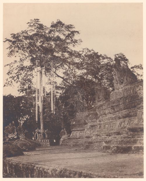 Rangoon.  The Votive Tree [Shwe Dagon Pagoda].
