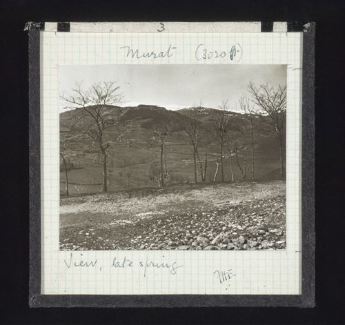View of natural landscape in late spring, Murat, France