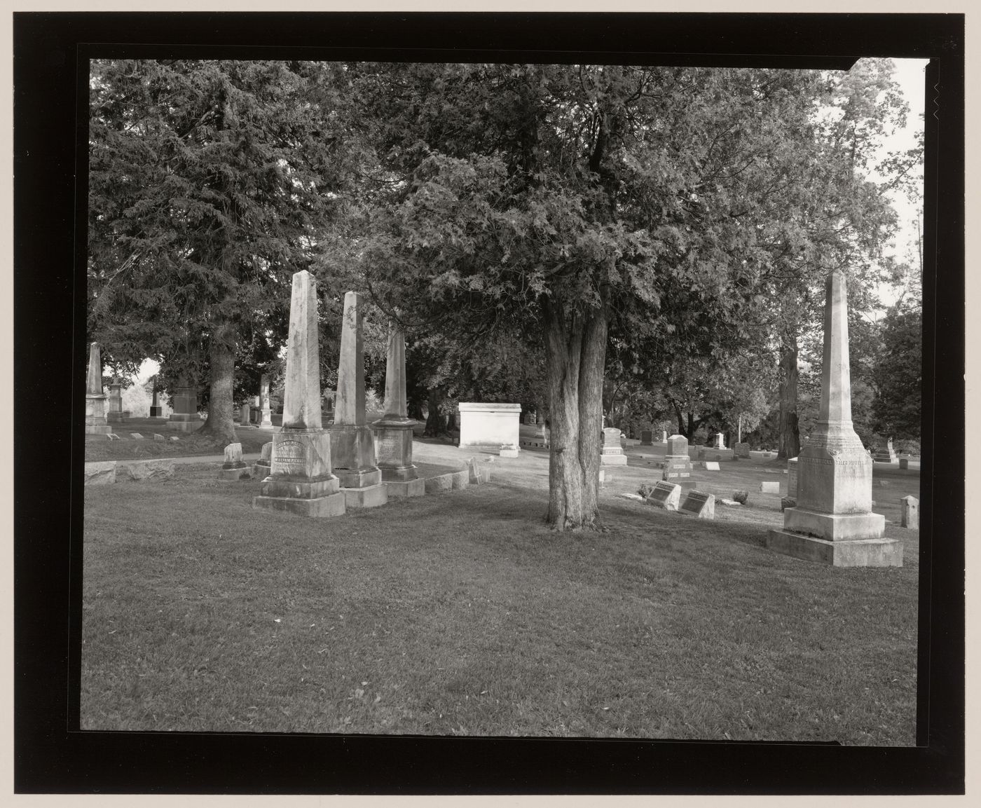 View of monuments in trees, Hillside Cemetery, Middletown, New York