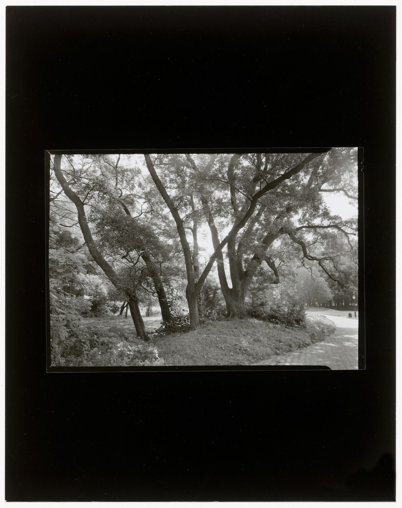 Nethermead, Prospect Park, Brooklyn, New York City, New York