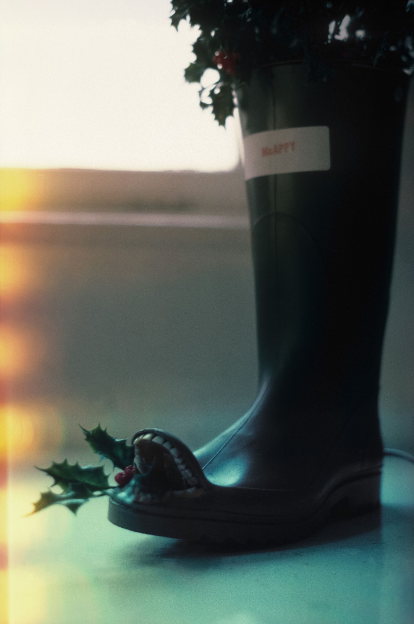 View of modified rubber boot with holiday decorations (from the McAppy project series)