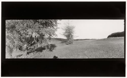View of a meadow in Franklin Park with the shadow of the photographer's head and camera in the foreground, Boston, Massachusetts