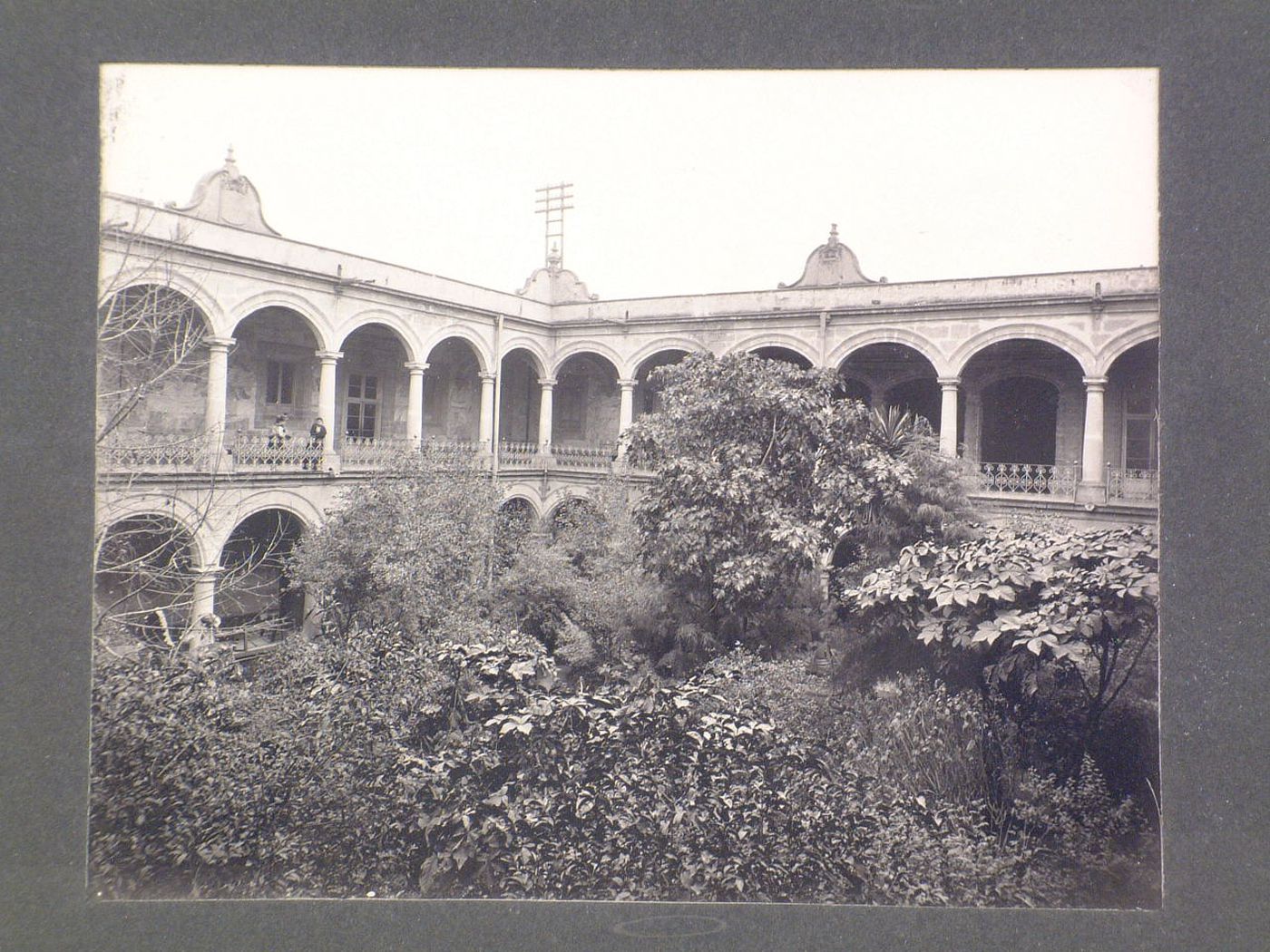 View of the garden and arcades of the courtyard, Real y Pontificia Universidad de México, Mexico City, Mexico