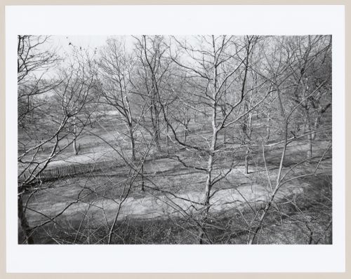 Morningside Park, Bronx, New York City, New York