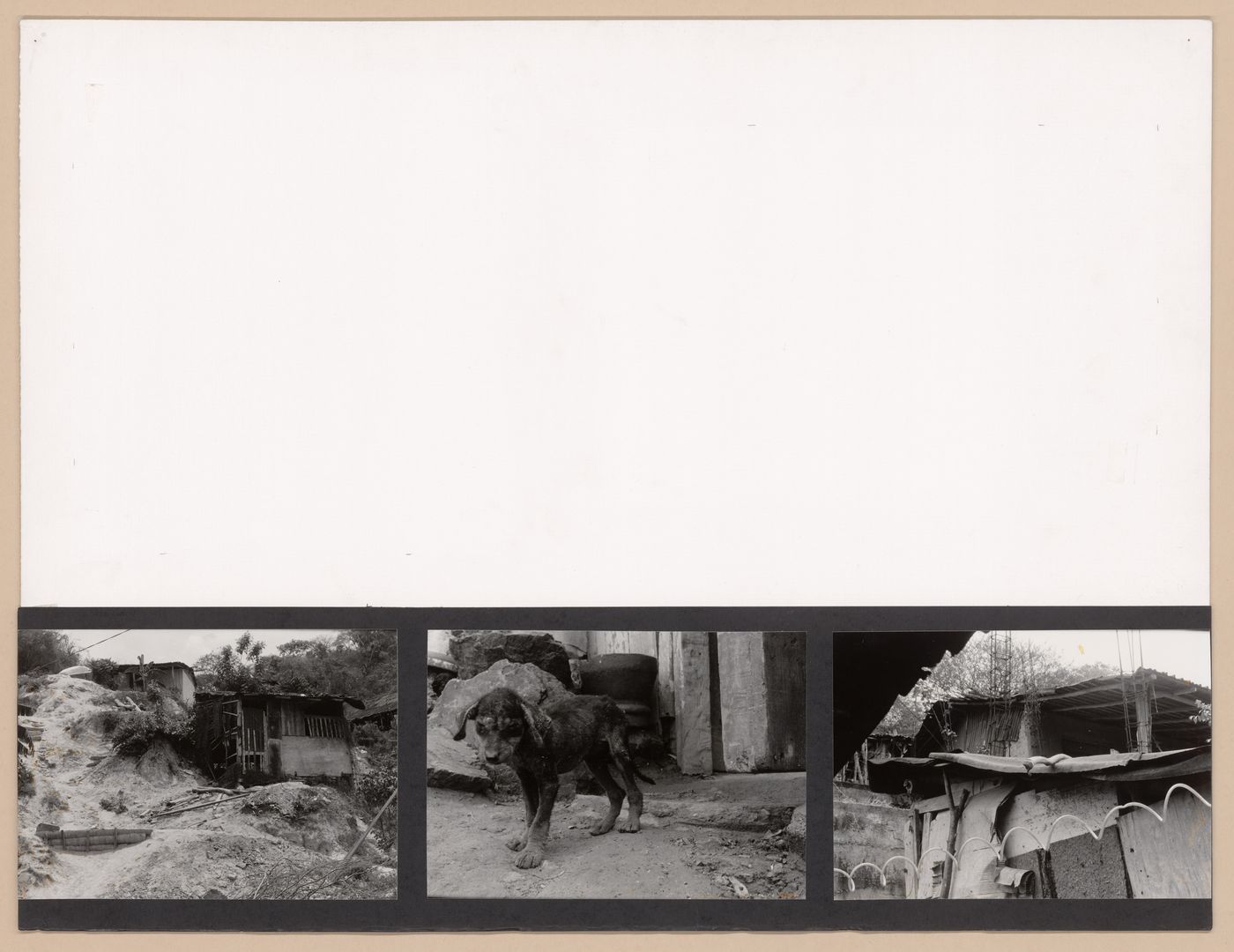 Presentation panel with photographs of a house and a puppy for the Urban Upgrading project La Esperanza, in Zihuatanejo, Mexico