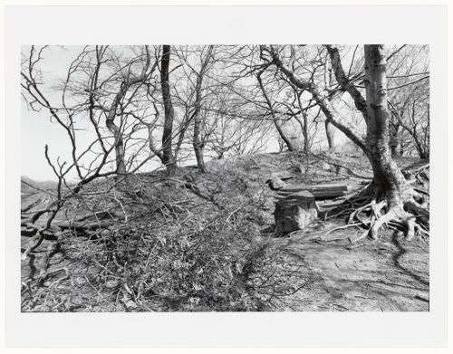 Prospect Park, Brooklyn, New York City, New York