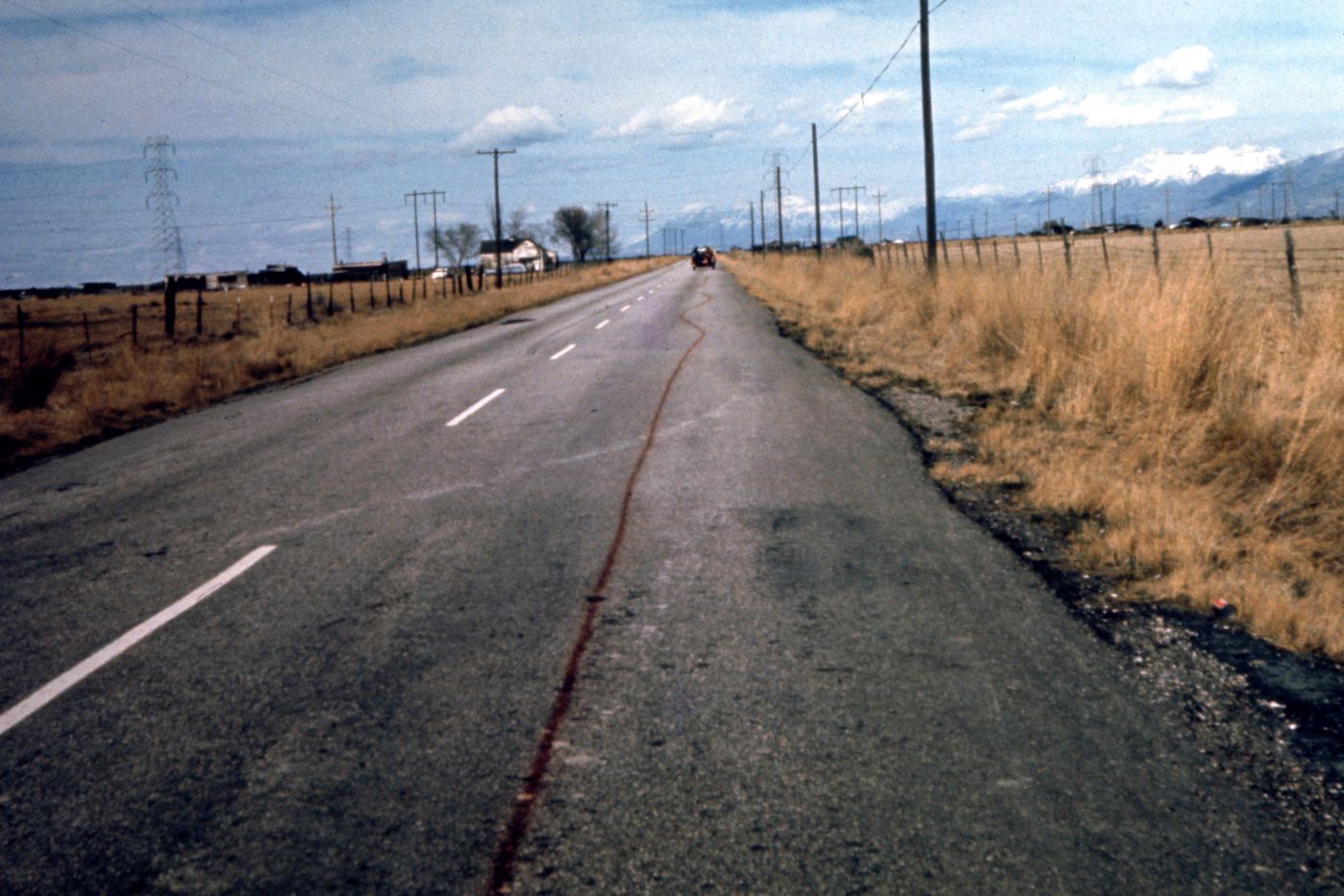 Photograph of line on road for Red Line