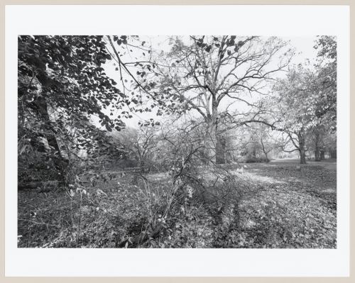 Riverside Park, Riverside, Illinois