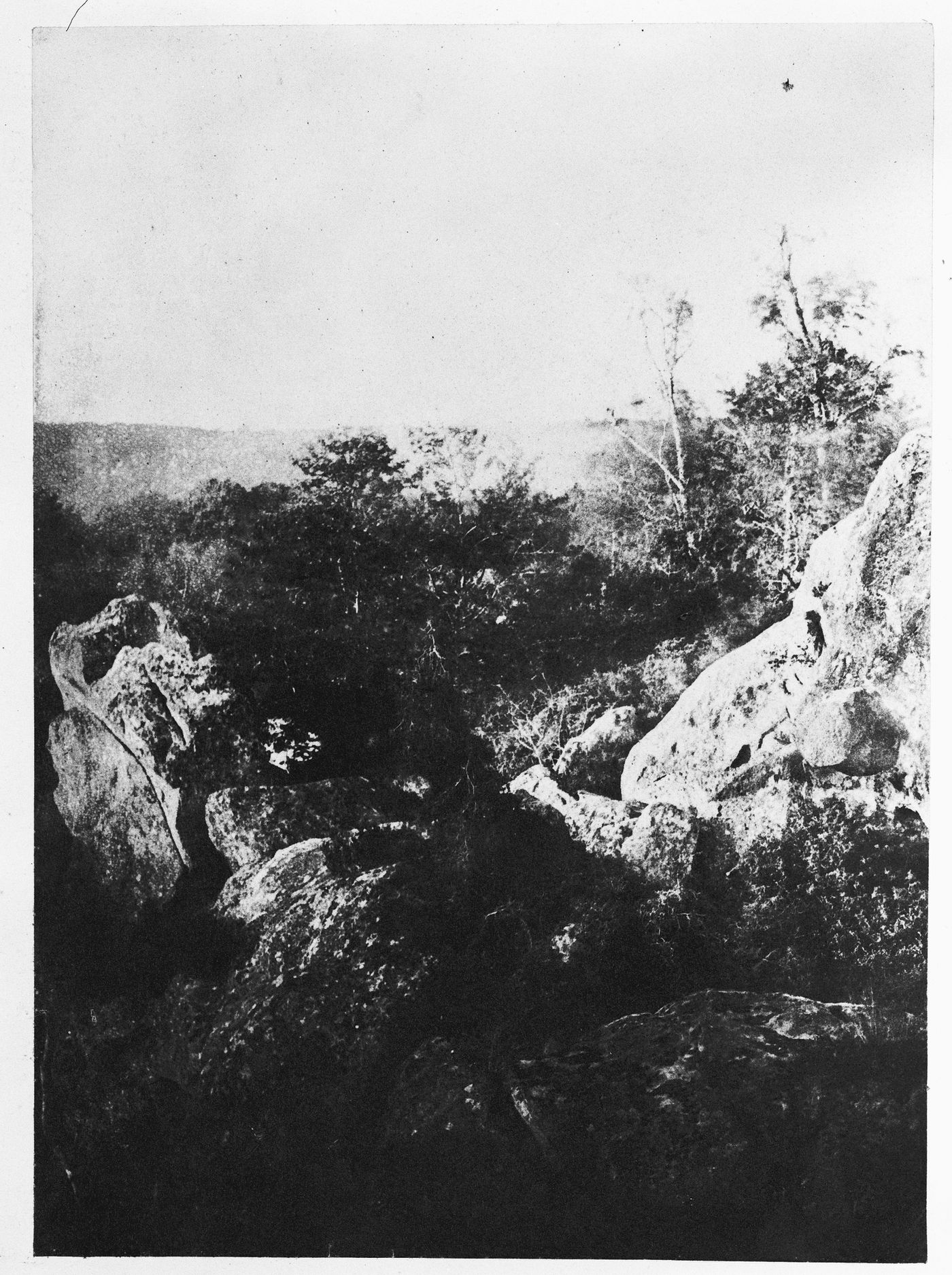 Boulders in Fontainebleau forest, France