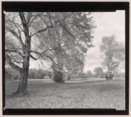 Meadow, Genesee Valley Park, Rochester, New York