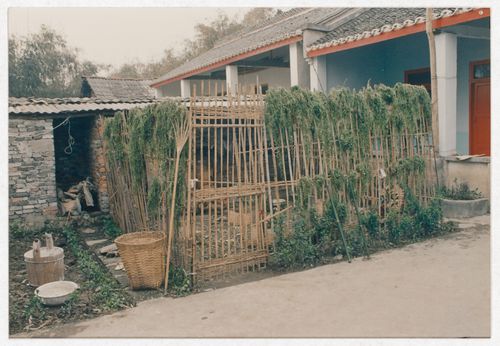 View of chicken coop in rural house courtyard in Sichuan province, China