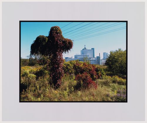 Cruciform: Cameco Uranium Conversion Plant with tree in the foreground, Port Hope, Ontario