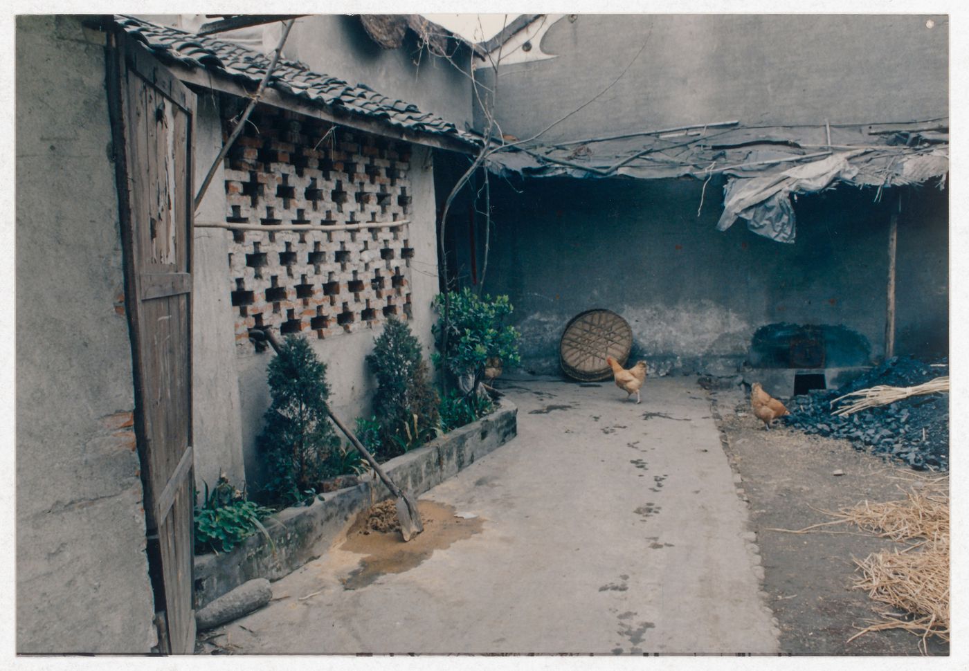 View of rural house interior court with hens in Sichuan province, China