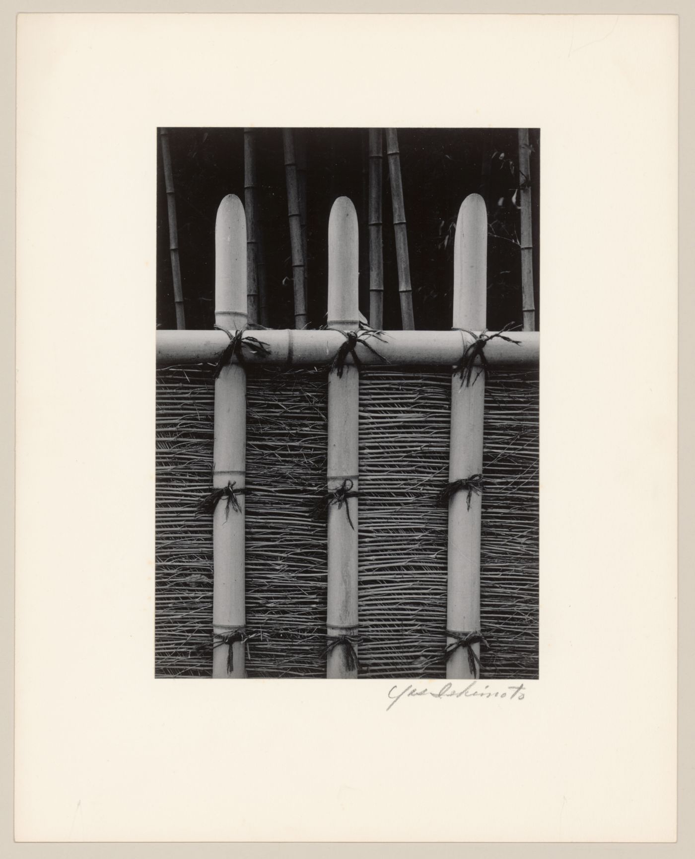 Detail of the bamboo-branch fence showing hemp-palm ties and woven bamboo, Katsura Rikyu (also known as Katsura Imperial Villa), Kyoto, Japan