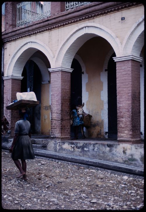 Street scene with donkey, Haiti