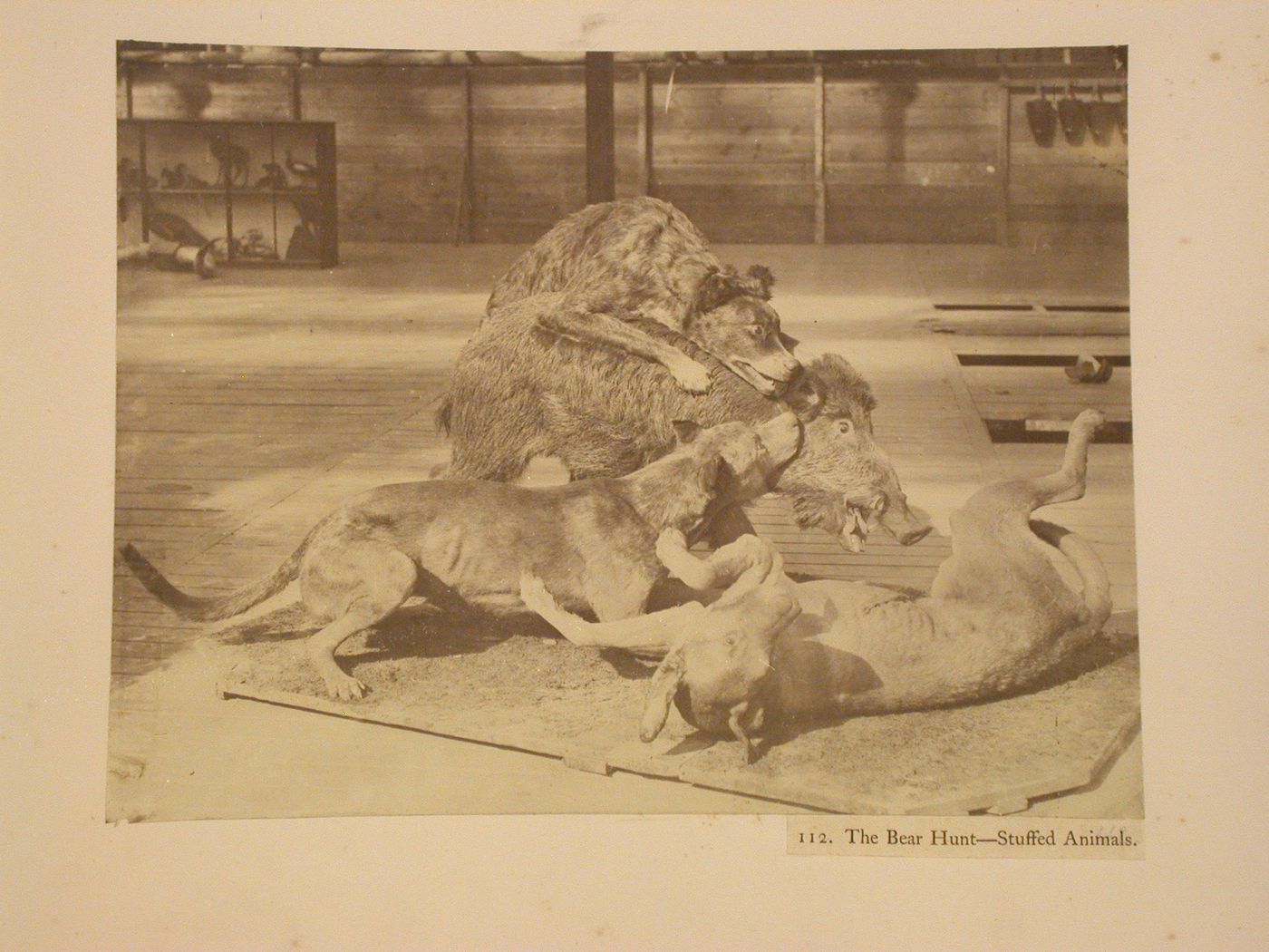 Taxidermy boar and dogs, Crystal Palace, Sydenham, England
